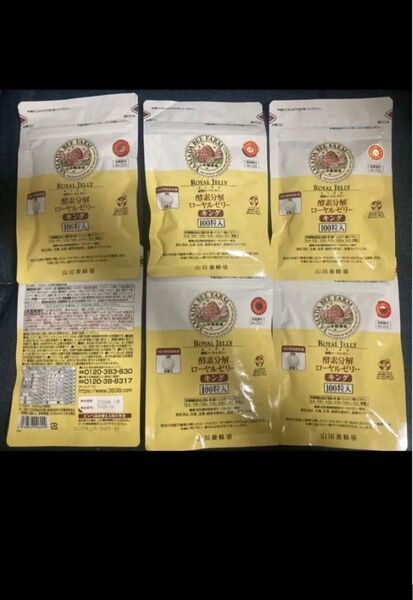 山田養蜂場 酵素分解ローヤルゼリーキング 100粒 6点ロイヤルゼリー 期限2026年1月