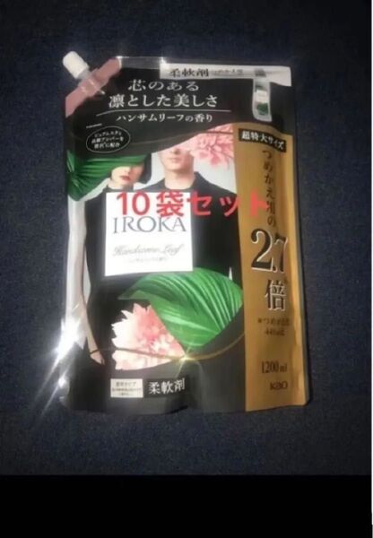 フレア フレグランス IROKA 柔軟剤 ハンサムリーフ 1200ml×10イロカ
