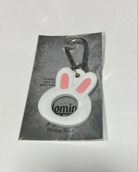 スキズ エコパ ペットボトルホルダー リノ リービット Strayk Kids PLASTIC BOTTLE HOLDER