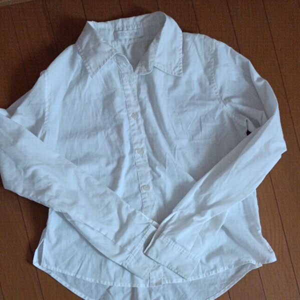 CECIL McBee 白シャツ レディース