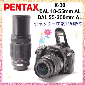 ★即購入1000円OFF★ ペンタックス PENTAX K-30 こだわりに応える DAL 55-300mm ED 望遠レンズ