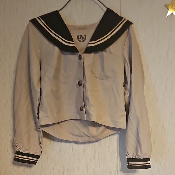 コスプレ セーラー服 Lサイズ ※ファスナー壊れ