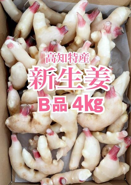 甘酢漬けに♪【B品 】高知特産 新生姜 約2㎏