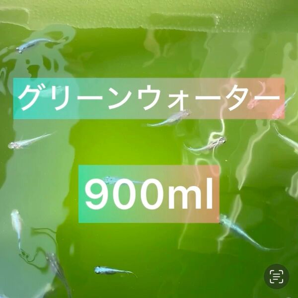 グリーンウォーター900ml(300ml×3)