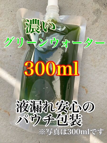 (パウチ包装)濃いグリーンウォーター300ml