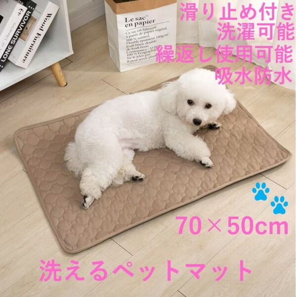 ペットマット ベージュ ペットシーツ 70×50cmトイレシート 吸水性 防水 防水 洗える 吸水 トイレシート 犬 猫
