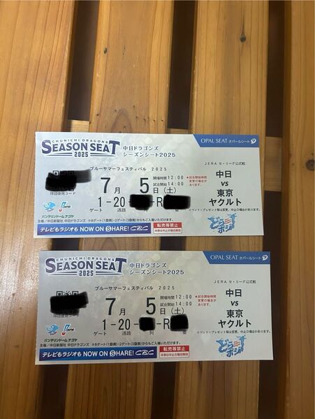 中日ドラゴンズ チケット バンテリンドーム 7/5 (土)vs東京ヤクルト ドラゴンズ オパールシート(内野B)