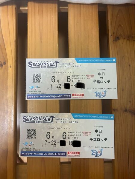 中日ドラゴンズ チケット バンテリンドーム vs千葉ロッテマリーンズ ドラゴンズ外野応援席 通路側を含む連番