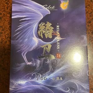 美品 kinera celest relentless 1DD+6BA