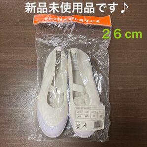 セール♪ スクールシューズ 上履き バレーシューズ ホワイト 26.0cm 新品