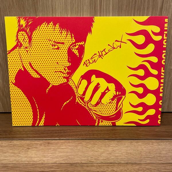 PRIDE BUSHIDO 武士道 其の拾 パンフレット