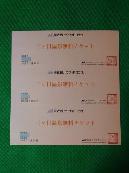 浜名湖レークサイドプラザ無料入浴チケット3枚3600円 中学生以上2200円