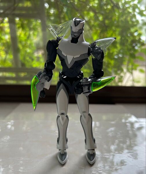 訳有TAMASHII NATIONS S.H.フィギュアーツ ワイルドタイガー