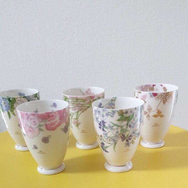 LOUIS PITAD FRANCE ルイピトーフランス 絵変わり揃い 5個セット フリーカップ