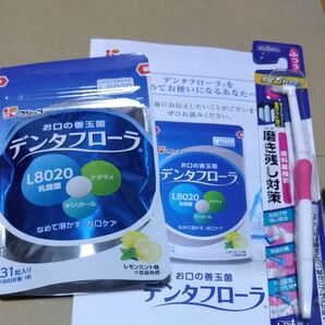 デンタフローラ フジッコ 31粒入り おまけ付き