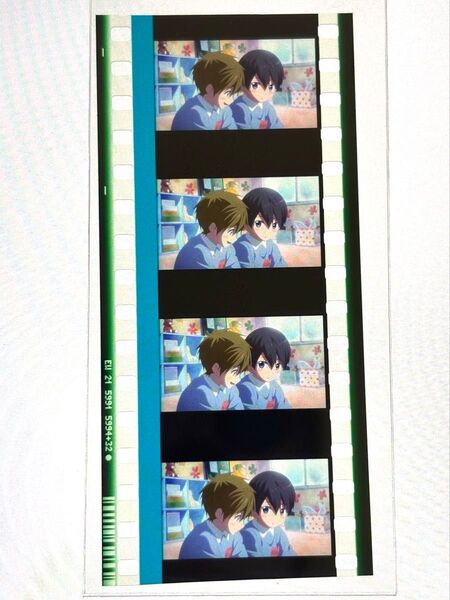 劇場版 Free final stroke 前編 入場特典 特典 コマフィルム フィルム Free FS 幼少期 保育園