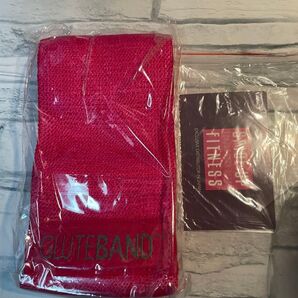 ☆新品未使用☆ SPICE UP FITNESS by GLUTEBAND トレーニングバンドト フィットネス