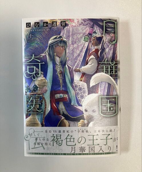 月華国奇医伝 13 /ひむか透留