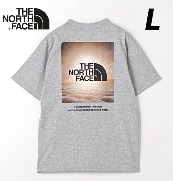 L 新品 ノースフェイス Tシャツ ナチュラルフェノメノンティー 灰 グレー