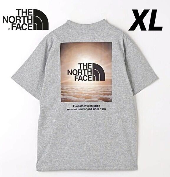 XL 新品 ノースフェイス Tシャツ ナチュラルフェノメノンティー 灰 グレー NORTH