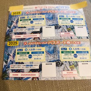 ナガシマスパーランド パスポート券2枚 入浴券2枚セット