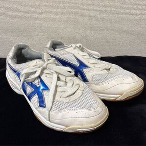 上靴 体育館シューズ
