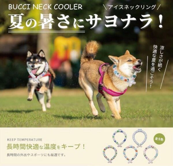 Bucci Boo クールリング 犬 ネッククーラー 暑さ対策 冷え首輪 冷感 犬 猫 ペット