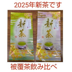 2025年新茶 静岡県牧之原市産 被覆茶さえみどり/つゆひかり 飲み比べ
