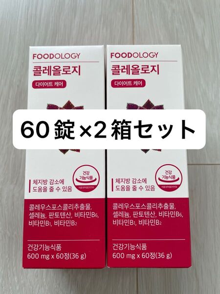 【新品】FOODOLOGYコレオロジー錠剤60錠入り×2箱 フードオロジー コレオロジー 腸活 ダイエット
