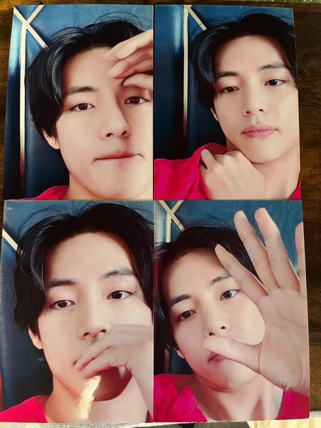 BTS V テテartist made collection パネル4枚セット