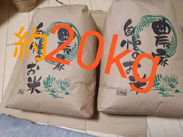 玄米です!令和6年産 青森産まっしぐら 10kg×2 合計約20kg 農家より