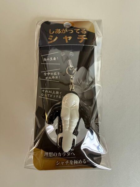 【神戸須磨シーワールド限定】しあがってるシャチ ストラップ キーホルダー