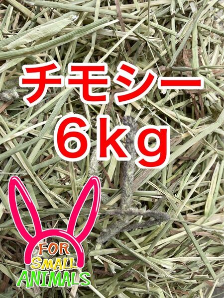 カナダ産 チモシー 6kg