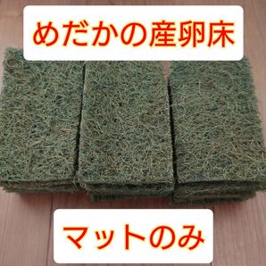 メダカ 産卵床 天然ヤシ繊維マット【マットのみ】