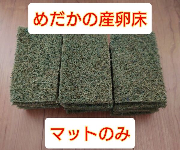 メダカ 産卵床 天然ヤシ繊維マット【マットのみ】
