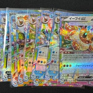 ポケモンカード ブラッキーex イーブイex RR