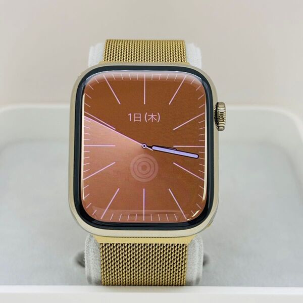 Apple Watch Series 7 Stainless Steel 45mm PPW7-01