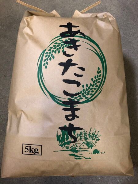 令和6年 秋田県産 特A評価 あきたこまち 精米5kg