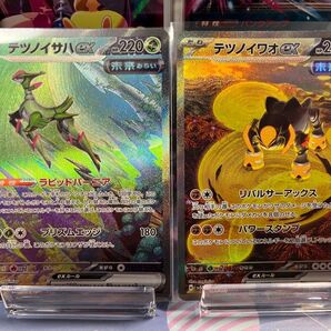 ポケモンカード テツノイサハex & テツノイワオex 2枚セット
