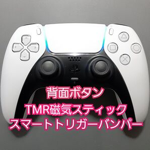 PS5 カスタムコントローラー デュアルセンス 純正コントローラーCFI-ZCT1J