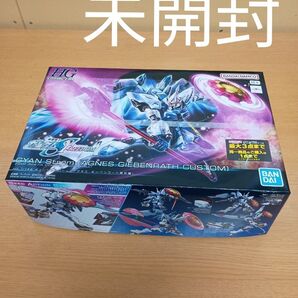【未開封】HG 1/144 機動戦士ガンダムシード フリーダム ギャンシュトローム アグネス・ ギーベンラート専用機 BANDAI