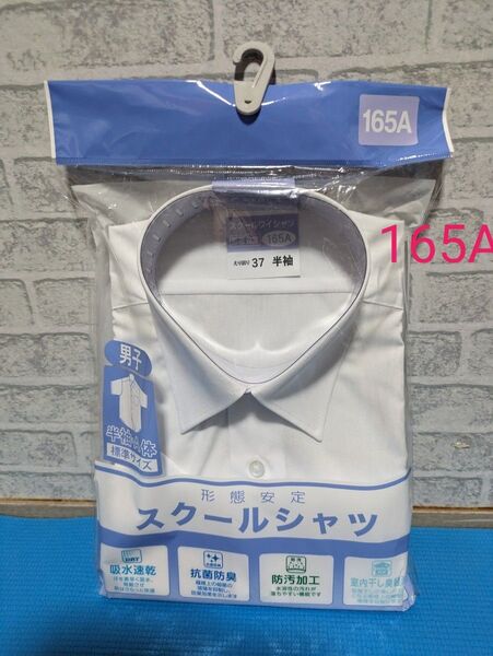 男子スクールシャツ 半袖 形態安定 165A えり37