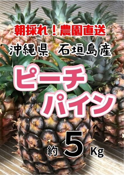 沖縄県石垣島産ピーチパイン約10キロパイナップル