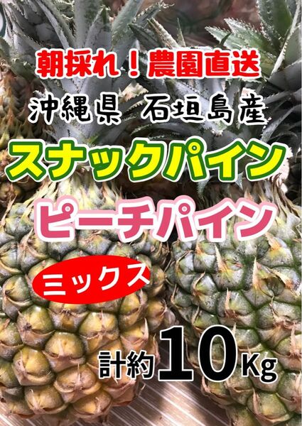 沖縄県石垣島産ピーチパインスナックパインミックス計約10キロ