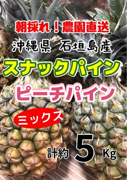 沖縄県石垣島産スナックパインピーチパインミックス計約5キロ