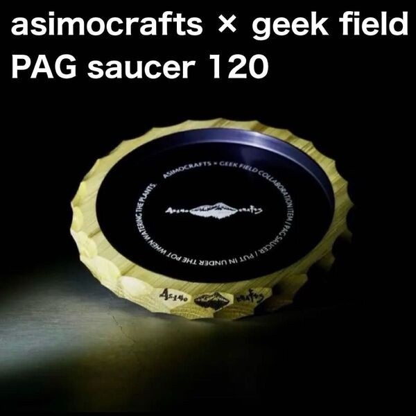 【アシモクラフツ】PAG saucer 120 geek field 皿 植物