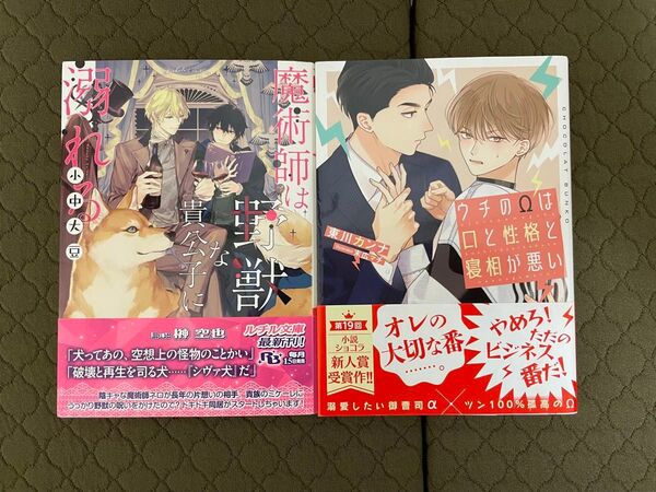 BL小説 2冊セット