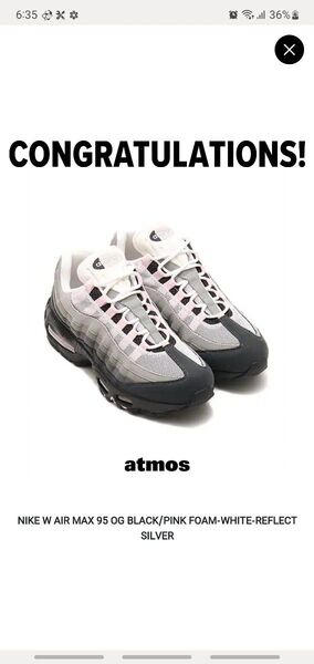 NIKE ナイキ AIR MAX95 OG エアマックス スニーカー
