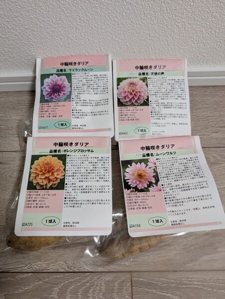 秋田ダリア 中輪咲きダリア 球根 4品種セット その2