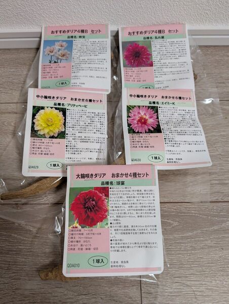 ダリア球根セット 5品種 その1
